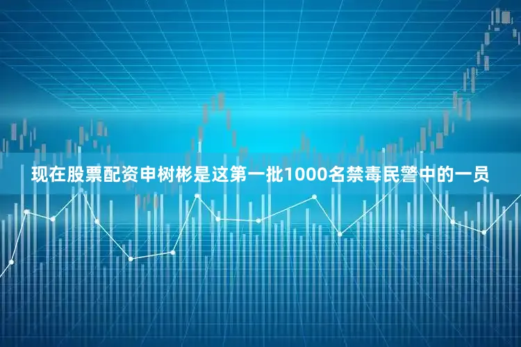现在股票配资申树彬是这第一批1000名禁毒民警中的一员