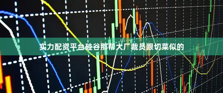 实力配资平台硅谷那帮大厂裁员跟切菜似的