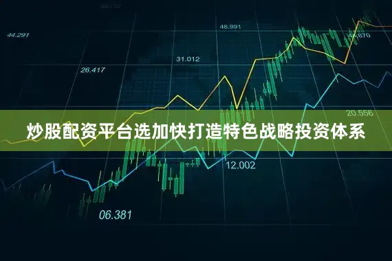 炒股配资平台选加快打造特色战略投资体系