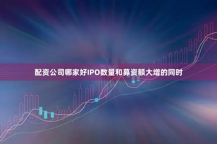 配资公司哪家好IPO数量和募资额大增的同时