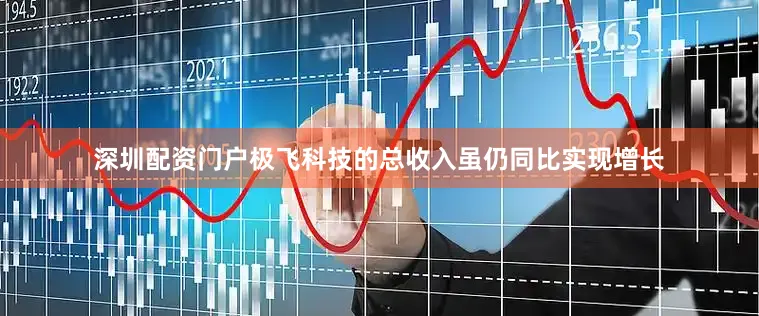 深圳配资门户极飞科技的总收入虽仍同比实现增长